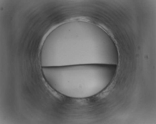 X0000074280816200609151850