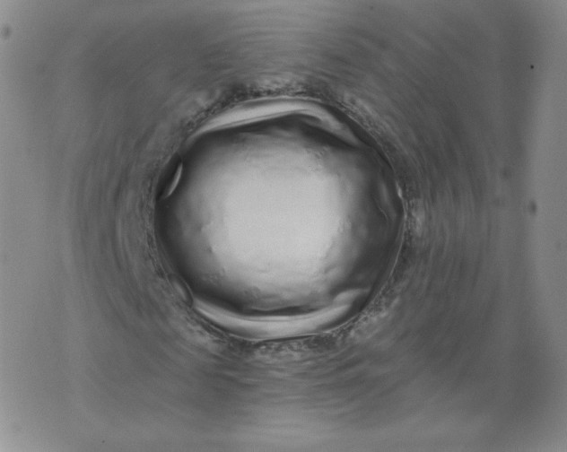 X0000074280817200609151849