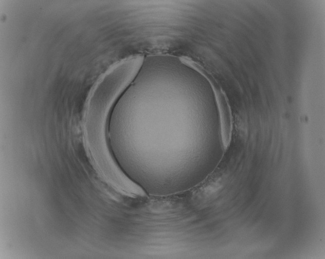 X0000074280818200609151849