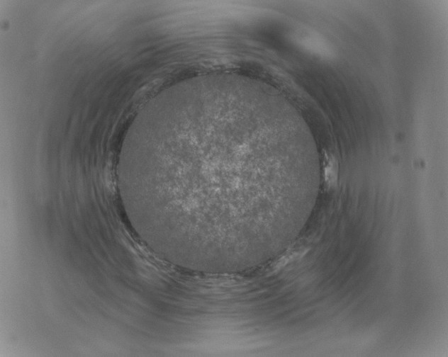 X0000074280819200609151849