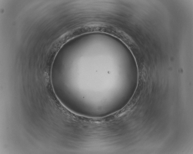 X0000074280821200609151849