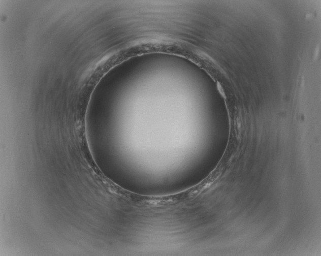 X0000074280822200609151849