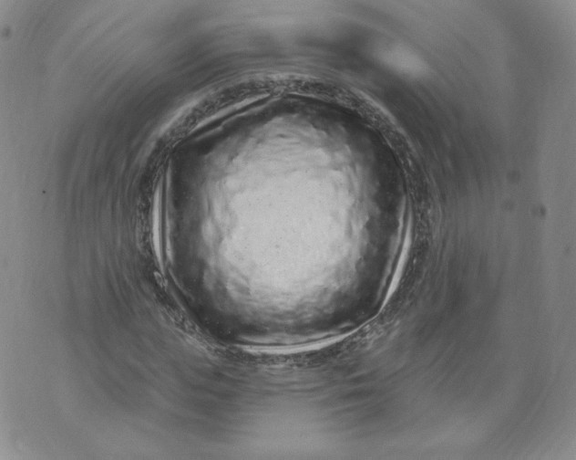 X0000074280823200609151849