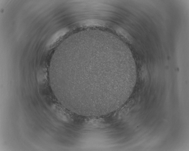 X0000074280824200609151849