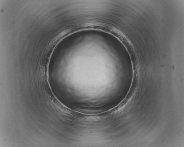 X0000074280825200609151849