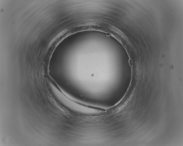 X0000074280826200609151849