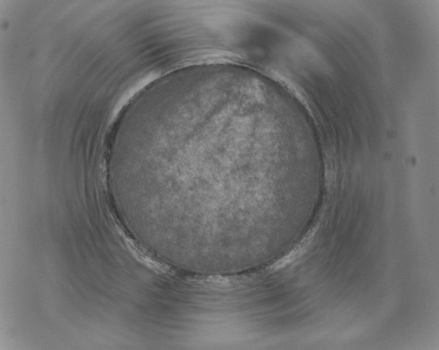 X0000074280827200609151850