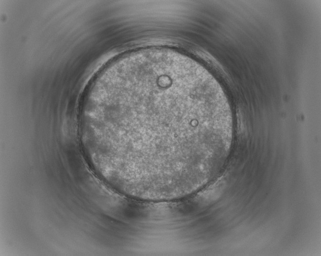 X0000074280828200609151850