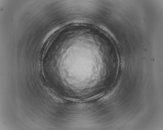 X0000074280829200609151850