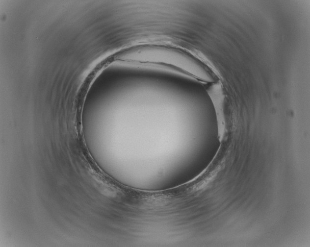 X0000074280830200609151850