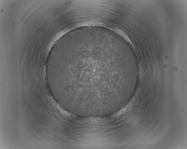 X0000074280831200609151850