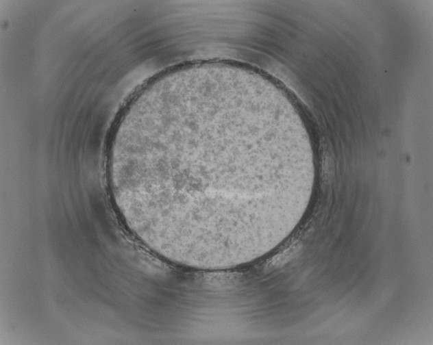 X0000074280832200609151850