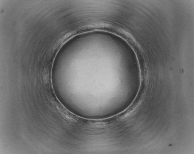 X0000074280833200609151850