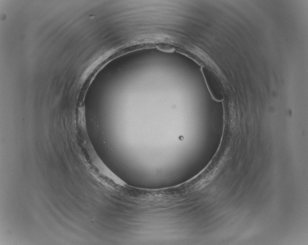 X0000074280834200609151850