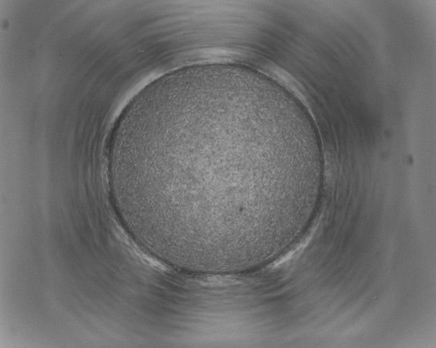 X0000074280835200609151850