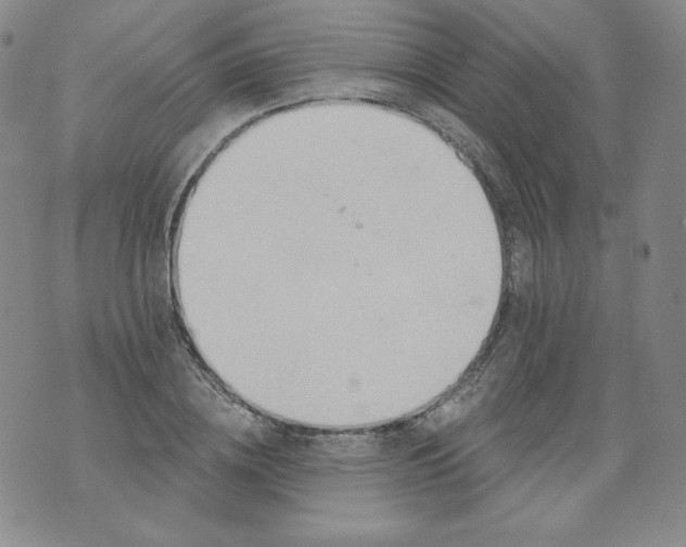 X0000074280836200609151850