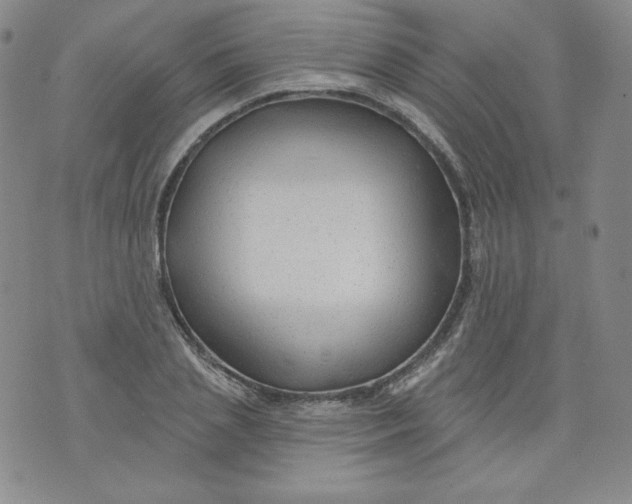 X0000074280837200609151850