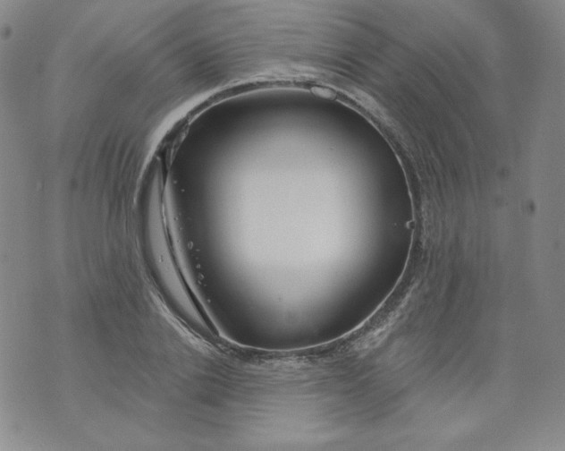 X0000074280838200609151850