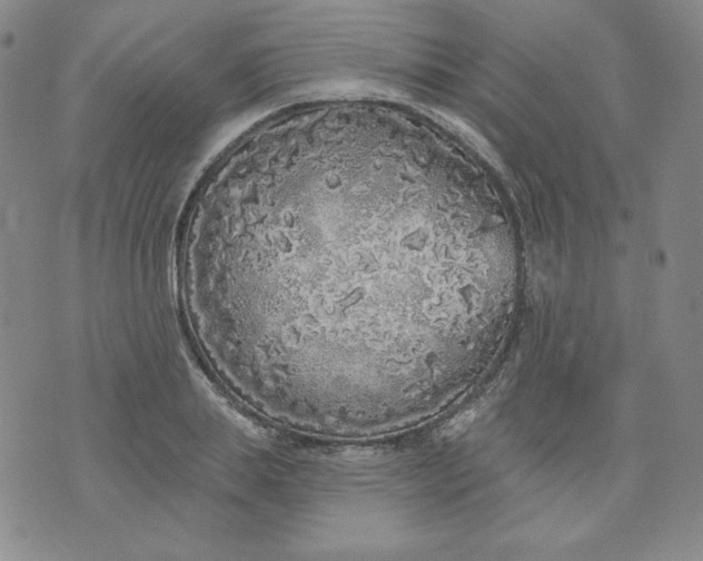 X0000074280839200609151850