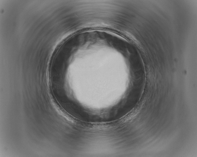 X0000074280840200609151850