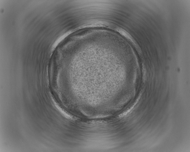 X0000074280842200609151850