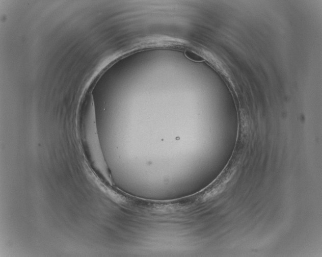 X0000074280843200609151850