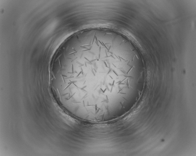 X0000074280844200609151850