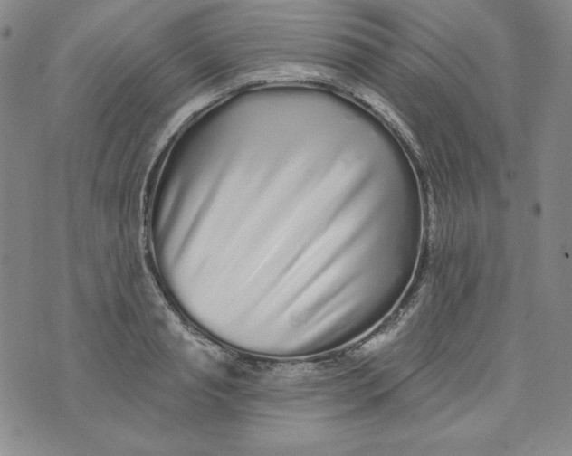 X0000074280845200609151850