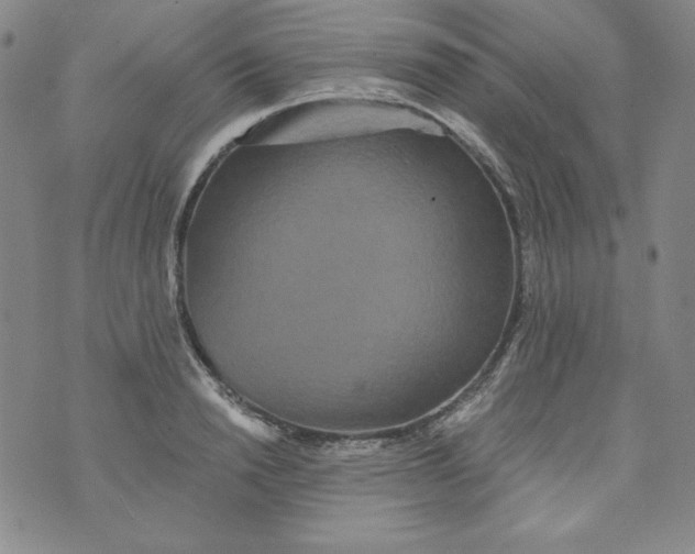 X0000074280846200609151850