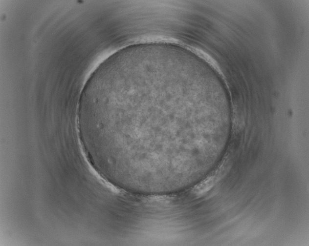 X0000074280847200609151850