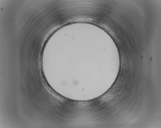 X0000074280848200609151850