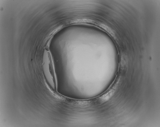 X0000074280849200609151850