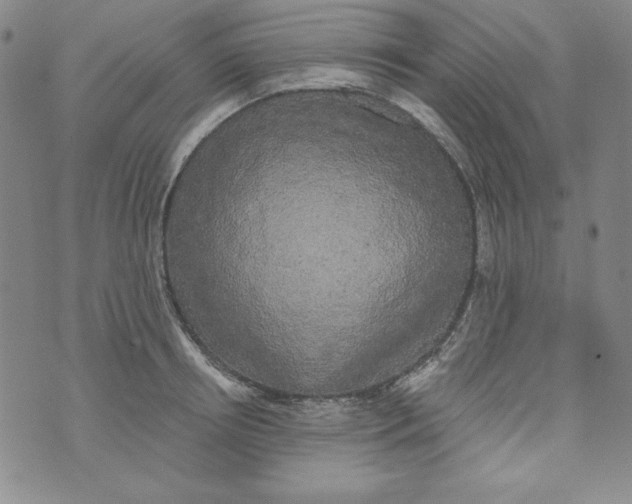 X0000074280850200609151850