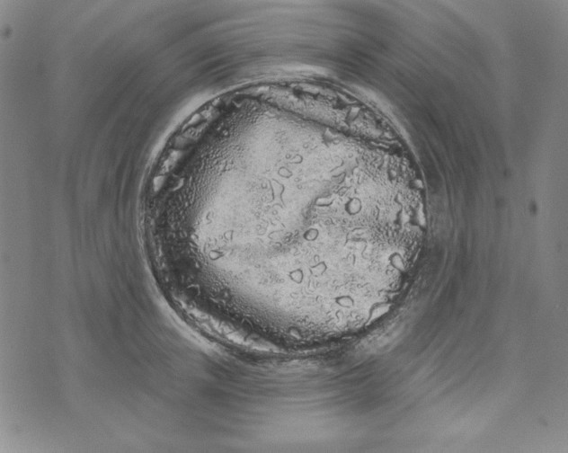 X0000074280851200609151850