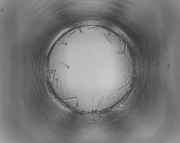 X0000074280852200609151850