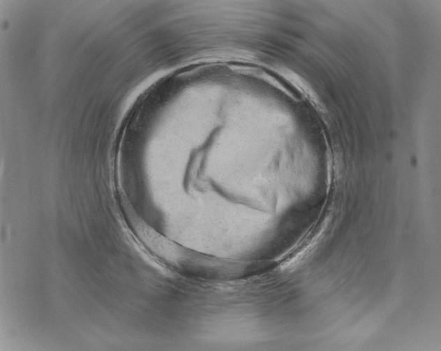 X0000074280854200609151850