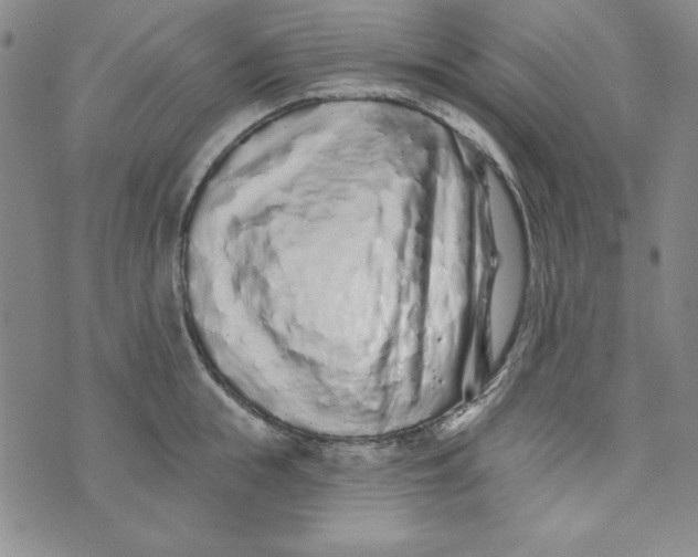 X0000074280855200609151850