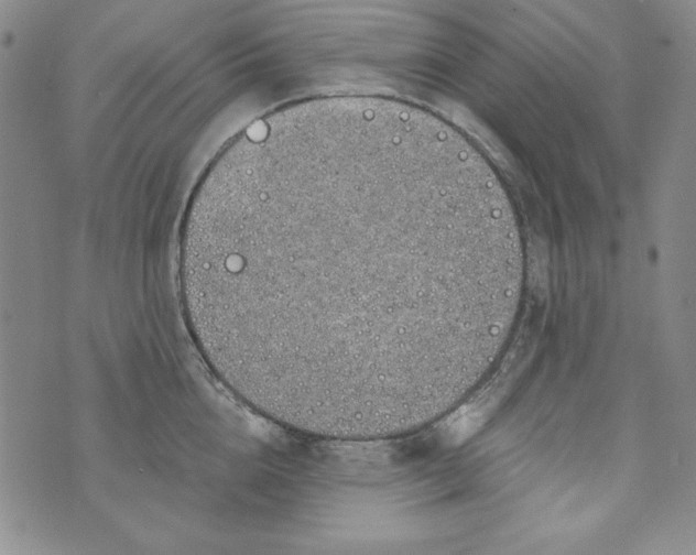 X0000074280856200609151850