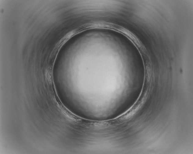 X0000074280857200609151850