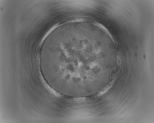 X0000074280859200609151850