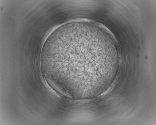 X0000074280860200609151850