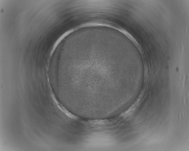 X0000074280862200609151850