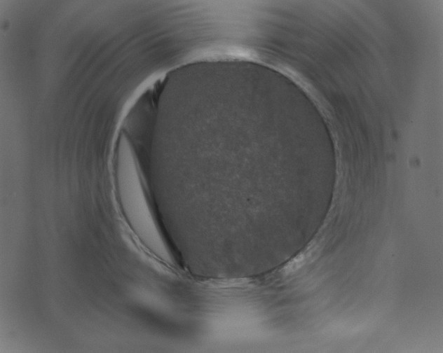 X0000074280864200609151850