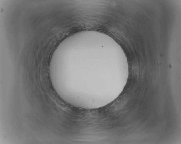 X0000074280865200609151849