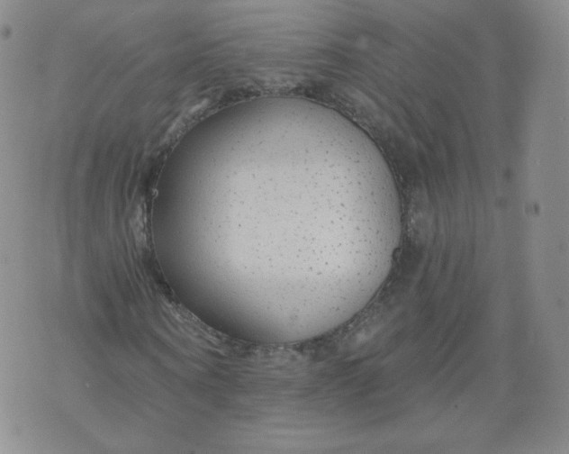 X0000074280866200609151849