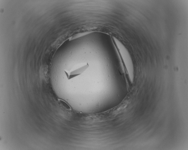 X0000074280867200609151849