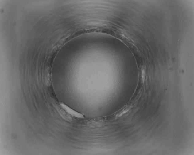 X0000074280868200609151849