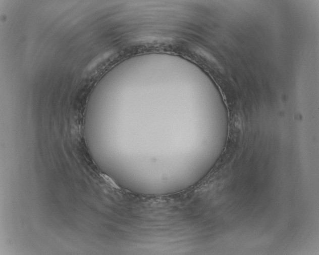 X0000074280869200609151849