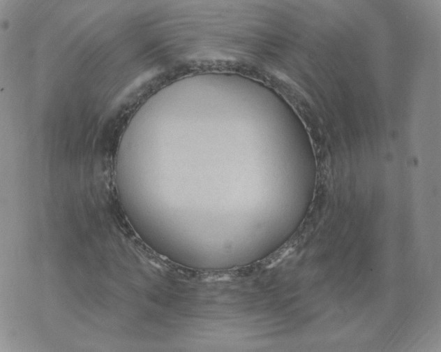 X0000074280870200609151849