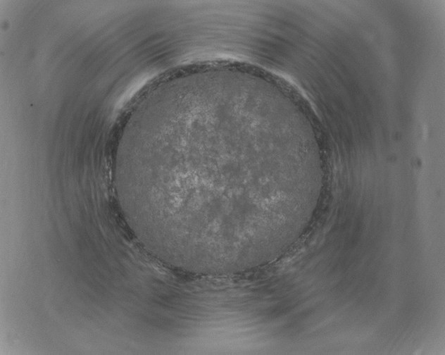 X0000074280871200609151849